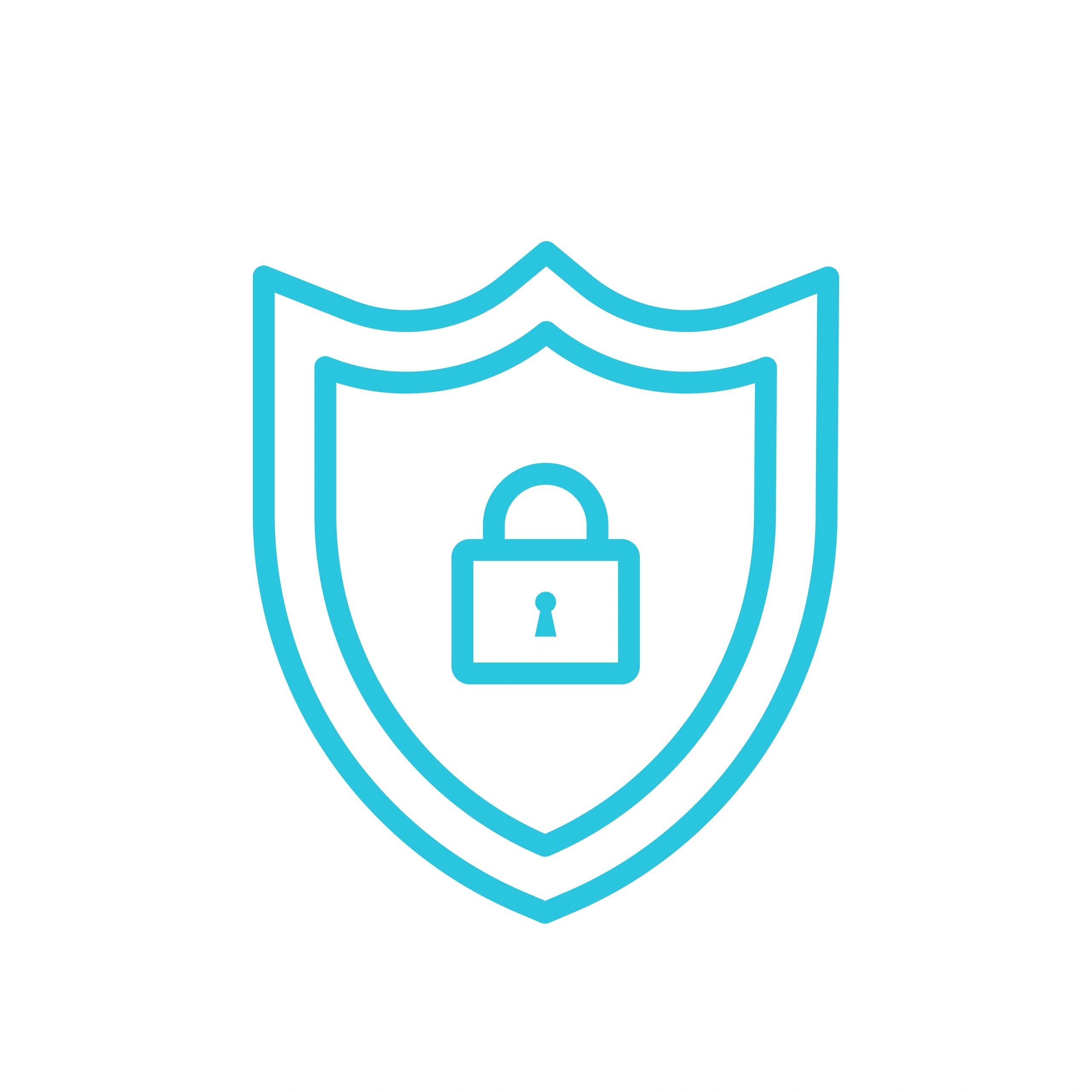 Data protection shield icon